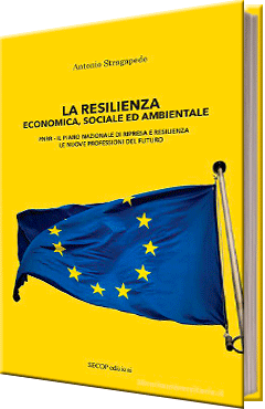 La resilienza economica, sociale ed ambientale