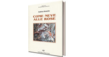 Come neve alle rosa